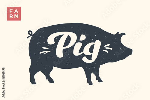 Farm animals set. Isolated pig silhouette and words Pig, Farm. Creative graphic design with lettering Pig for butcher shop, farmer market. Poster for animals theme. Vector Illustration