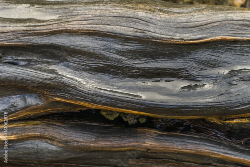 Tableau sur toile Waterlogged Driftwood