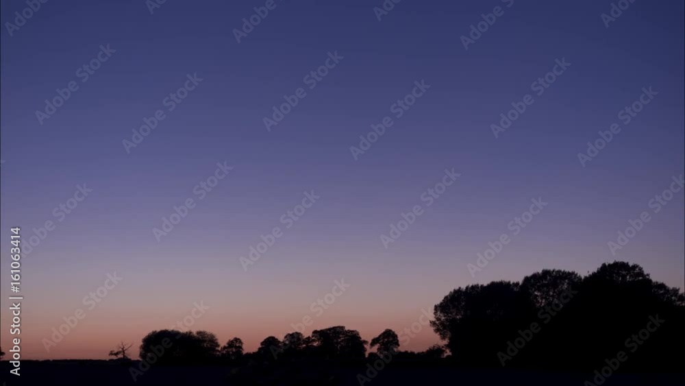 twilight with silhouette of Oak trees on horizon - Stafford, England: June 17th 2017 twilight with silhouette of Oak trees on horizon - Stafford, England: June 17th 2017