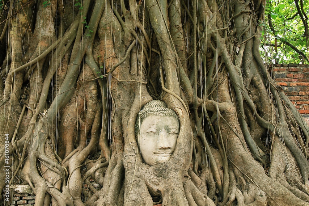 Ayutthaya Buddha Head in Tree Roots, Buddhist temple buddha statue Wat Mahathat Ayutthaya Buddha Head in Tree Roots, Buddhist temple buddha statue Wat Mahathat