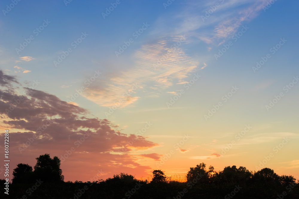 Sky after sunset against of dark silhouettes of trees