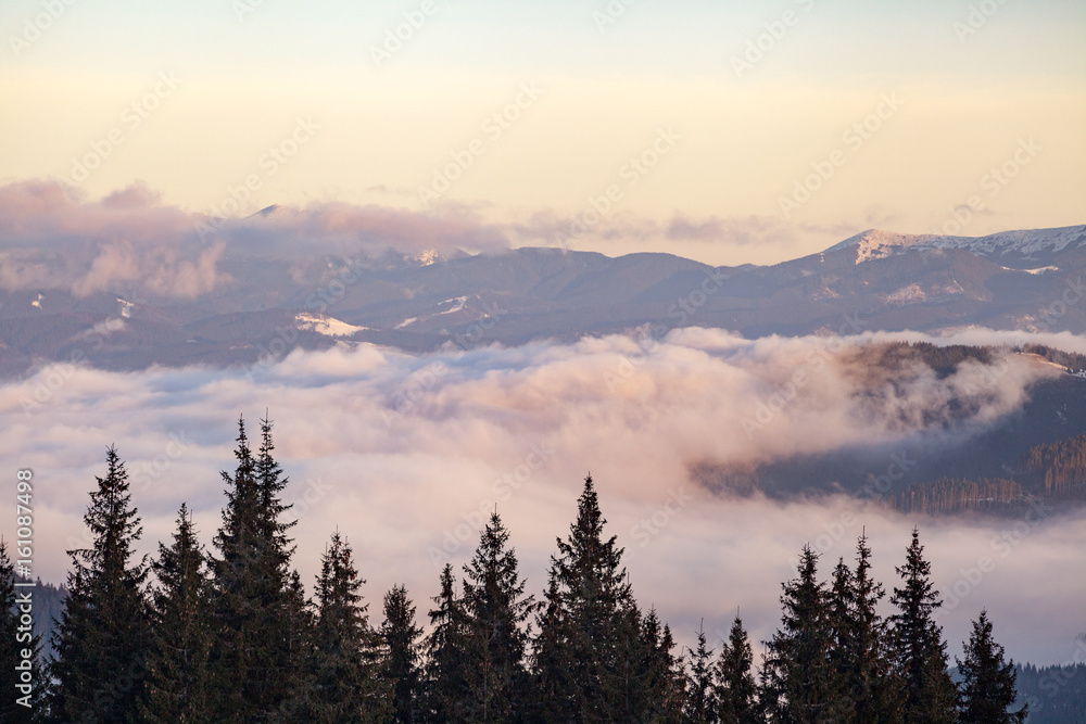 Autumn scenery of the Carpathian Mountains in Ukraine. Trees overcast fog.