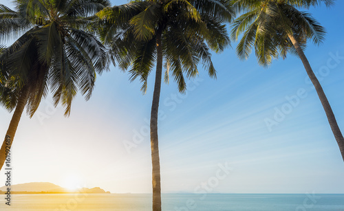 Sunset on the sea with 3 coconut palm tree