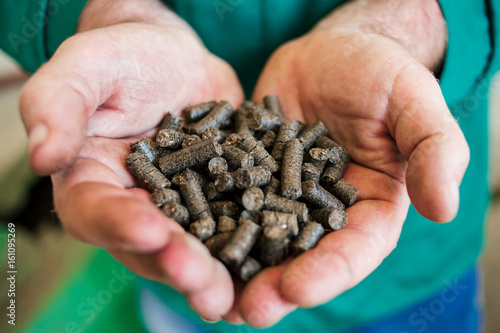 Wood pellets in man's hands. Biofuels. Cat litter. Human hand holding solid wooden pellets. Pine peletts - alternative Energy