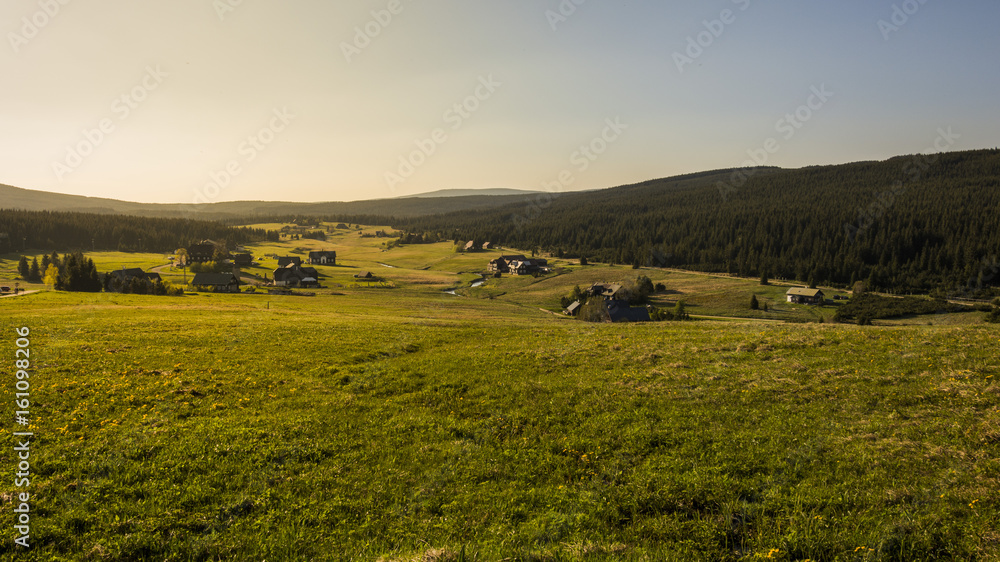 The landscape with meadow and forest in spring nature