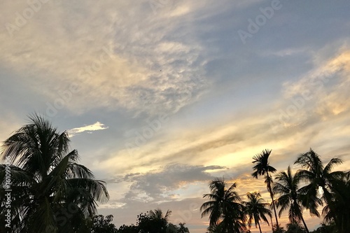 A beautiful natural scenery with cloudscape and trees 