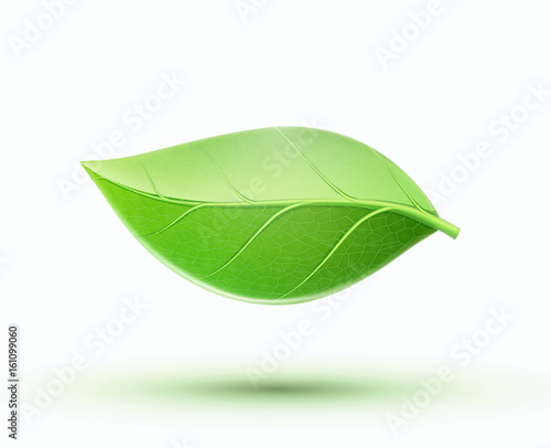 Eco concept icon