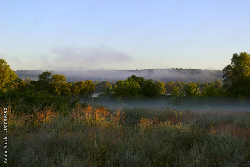 Foggy meadow at sunrise. A misty morning sunrise over a picturesque landscape. An early morning over a picturesque meadow.