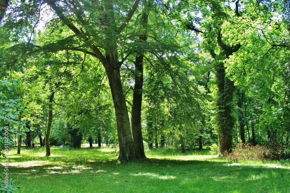 Park Sanssouci, Potsdam