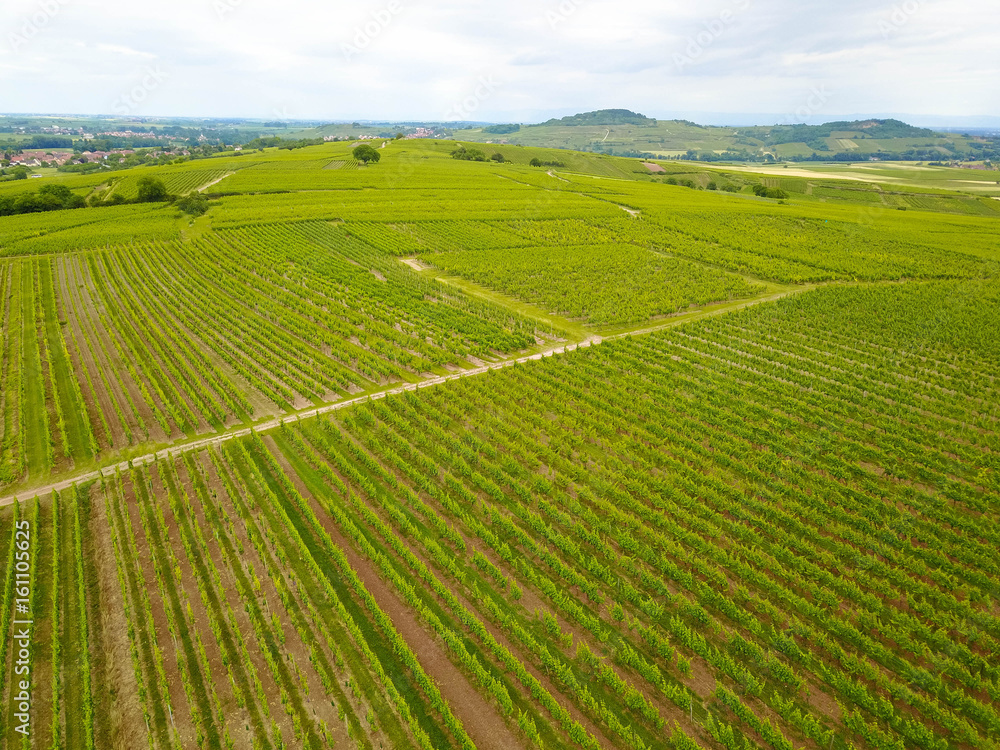 Luftbild Weinanbau, Elsass Vorgesen