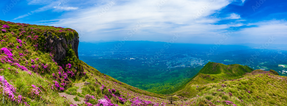 ミヤマキリシマ咲く高千穂峰