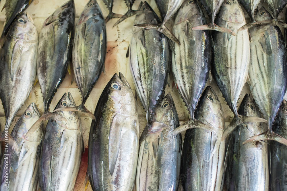 Obraz premium Tuna fish for sale at Fish market in Male,Maldives