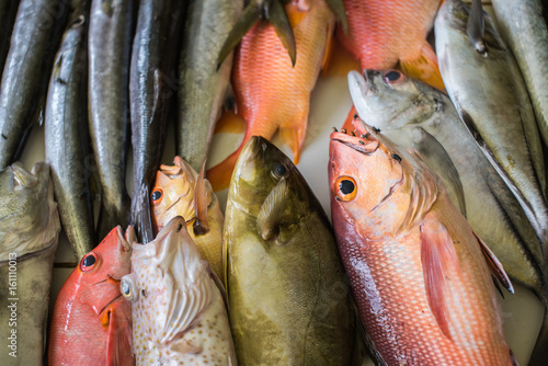 Top down view on many rows of freshly caught fish for sale in Male,Madives photo