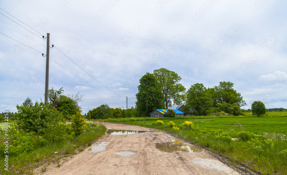 countryside after rain