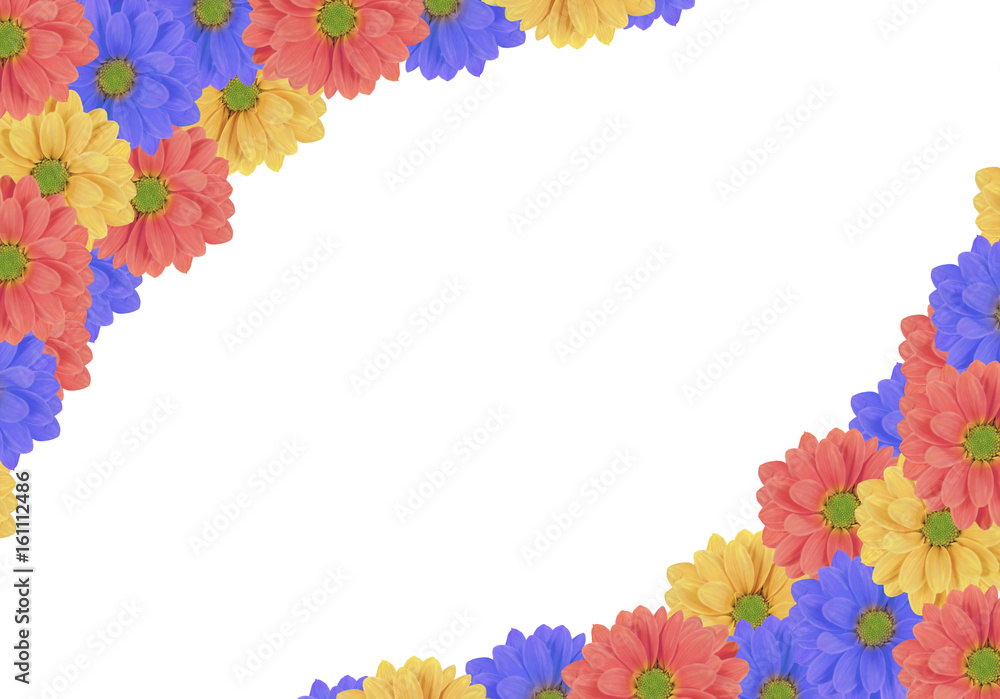 Beautiful blue, yellow and pink fresh daisy flower like corner frame Beautiful blue, yellow and pink fresh daisy flower like corner frame