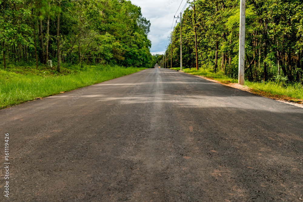 Asphalt country road