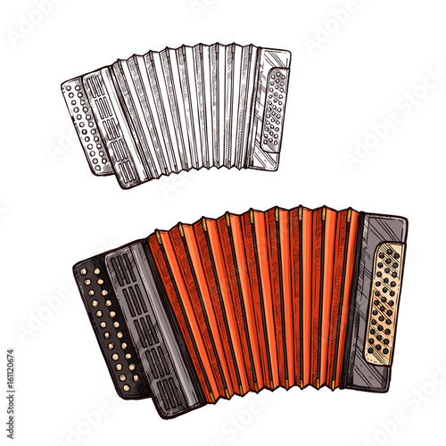 Vector sketch accordion musical instrument