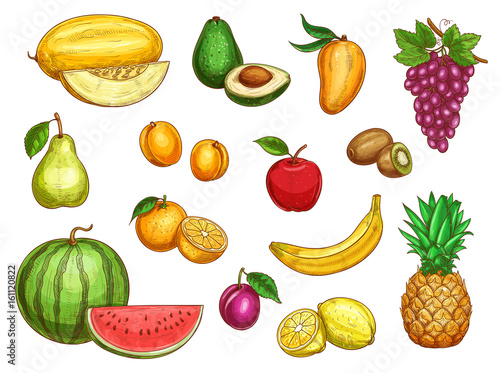 Vector exotic fresh fruits isolated icons set
