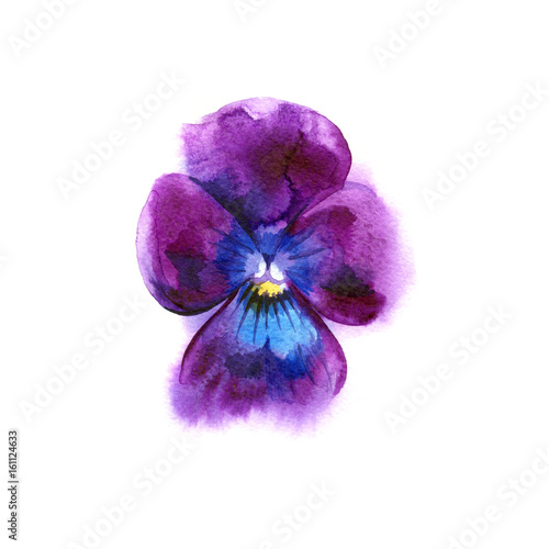 Watercolor painting of pansy flower. Can be used as a greeting card for background, textile patterns, web pages, wedding invitations, wallpaper.