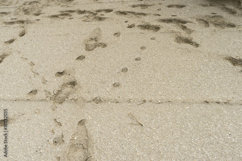 Footsteps in the sand at The Black Sea shore in Gura Portitei, Romania