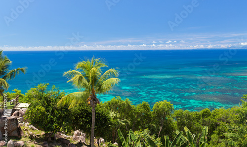 view to indian ocean from island with palm trees