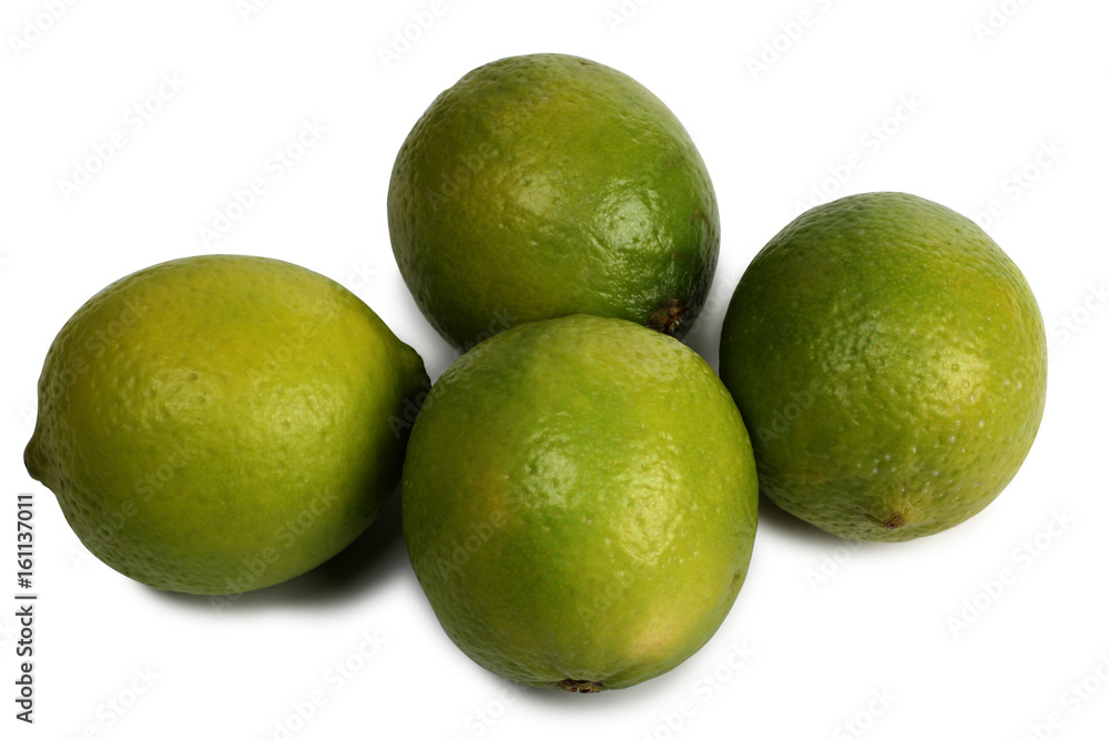Green lemon fruits on a white background Green lemon fruits on a white background