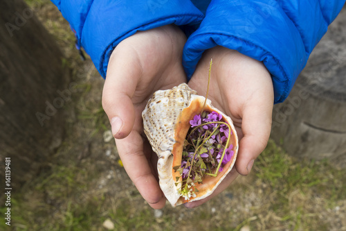 Close up of child hands holding a seashell and field flowers