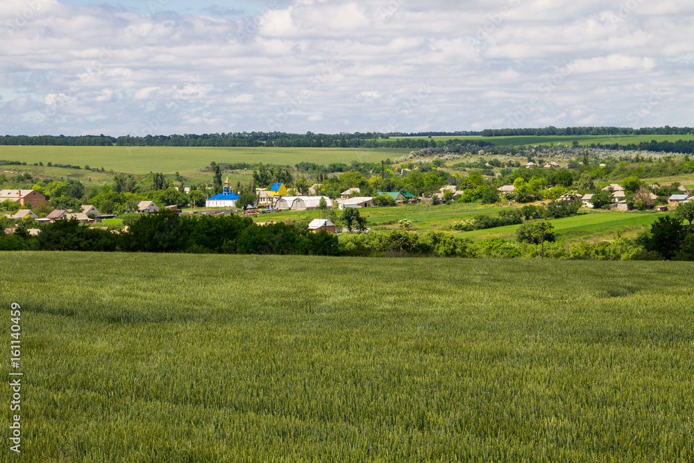 Fototapeta premium View on the village in Ukraine on summer