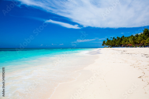 caribbean sea and palms