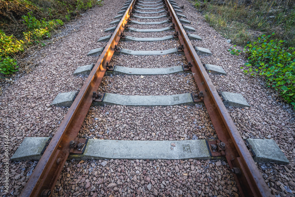 Railroad tracks in Chernobyl Exclusion Zone, Ukraine Railroad tracks in Chernobyl Exclusion Zone, Ukraine