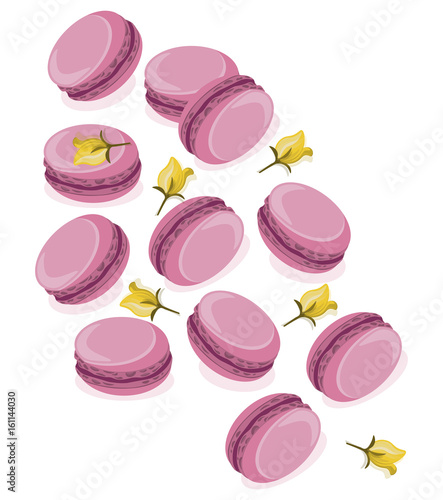 Pink macarons dessert with berry flavour Vector