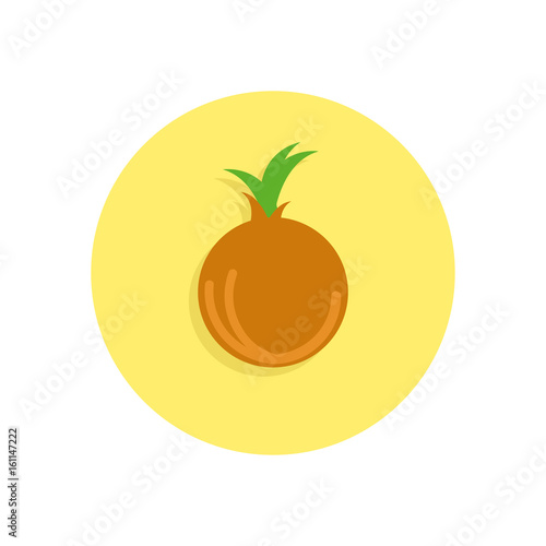 Onion flat icon. Round colorful button, circular vector sign, logo illustration. Flat style design