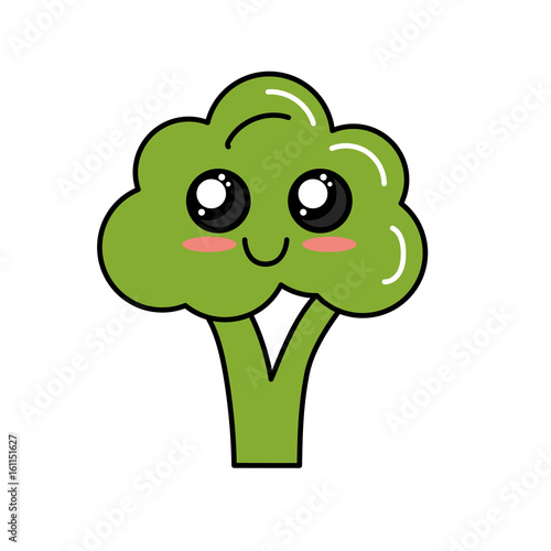 kawaii cute tender broccoli vegetable