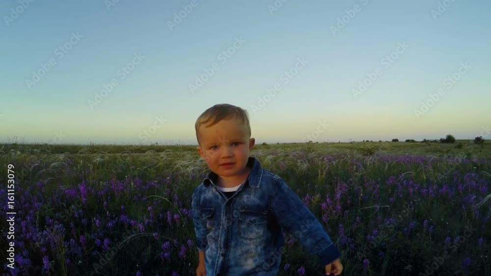 The boy walks in thick grass and lilac flowers The boy walks in thick grass and lilac flowers