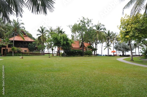 green grass field and coconut tree with Thailand house background at resort in Thailand © tpap8228