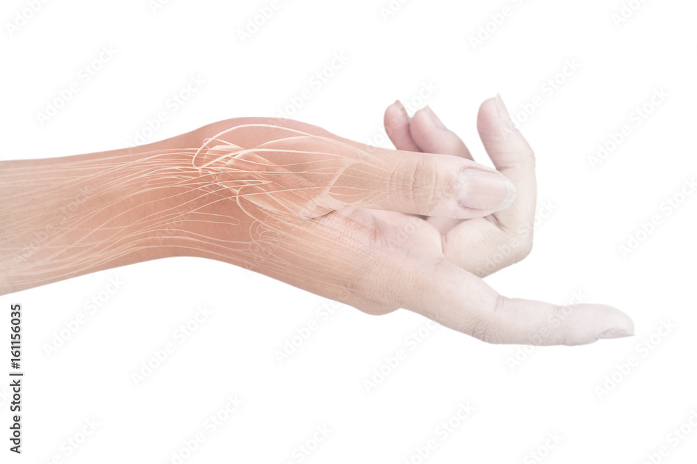 wrist muscle pain wrist muscle pain