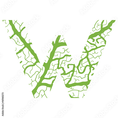 Nature alphabet, ecology decorative font. Capital letter V filled with leaf veins pattern green background. Leaves texture hand draw nature alphabet. Vector illustration.