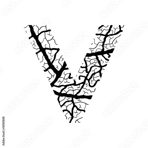 Nature alphabet, ecology decorative font. Capital letter W filled with leaf veins pattern black on white background. Leaves texture hand draw nature alphabet. Vector illustration.