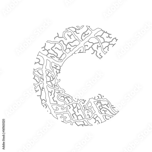 Nature alphabet, ecology decorative font. Capital letter C filled with leaf veins pattern black on white outline background. Leaves texture hand draw nature alphabet. Vector illustration.