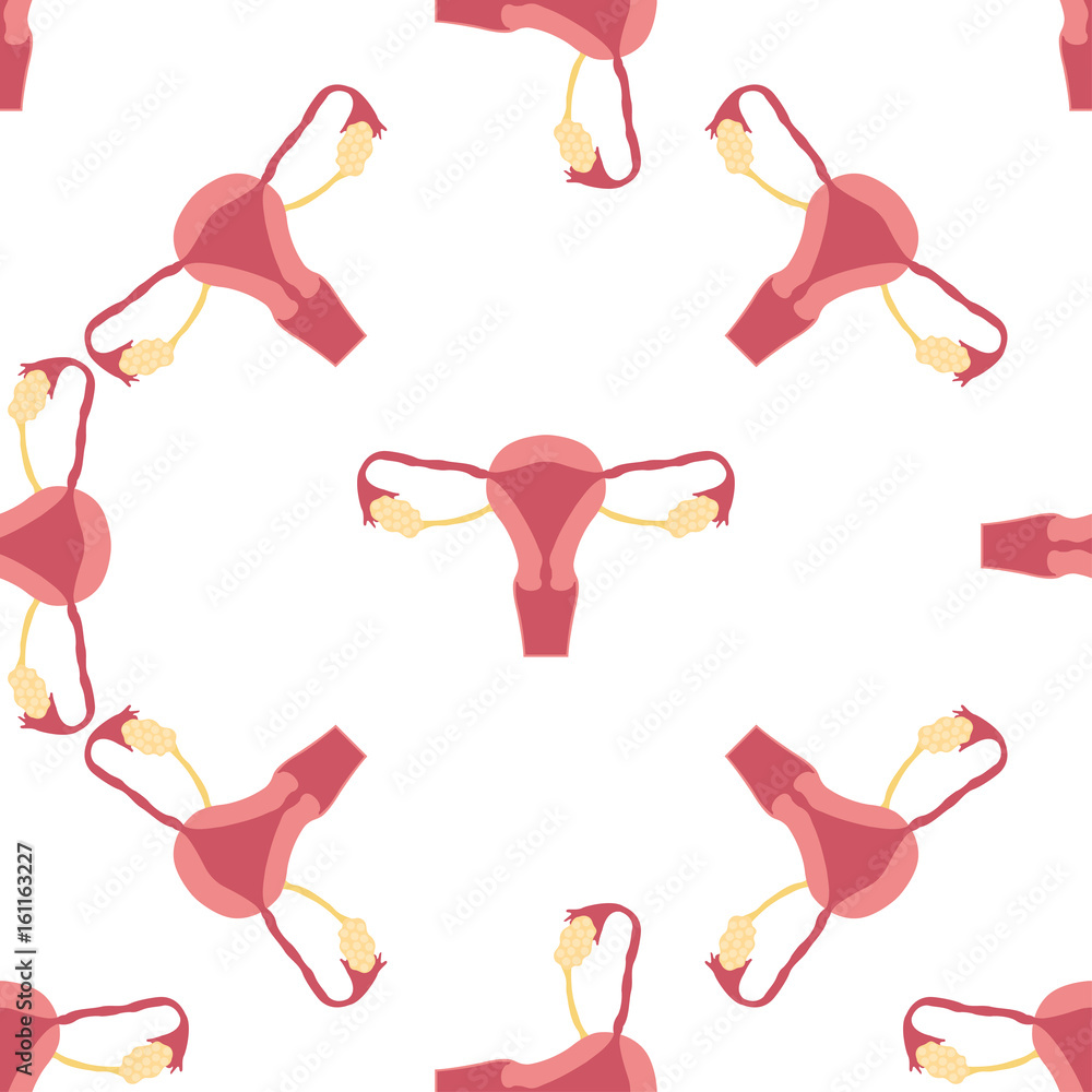 female reproductive system, seamless 2-2