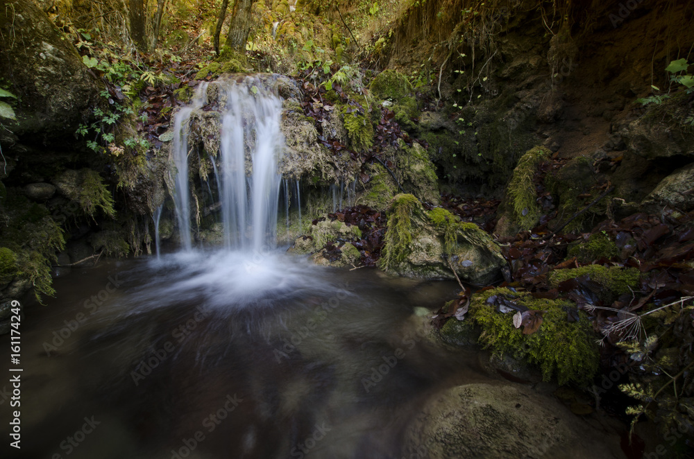 Fototapeta premium small waterfall on natural forest stream