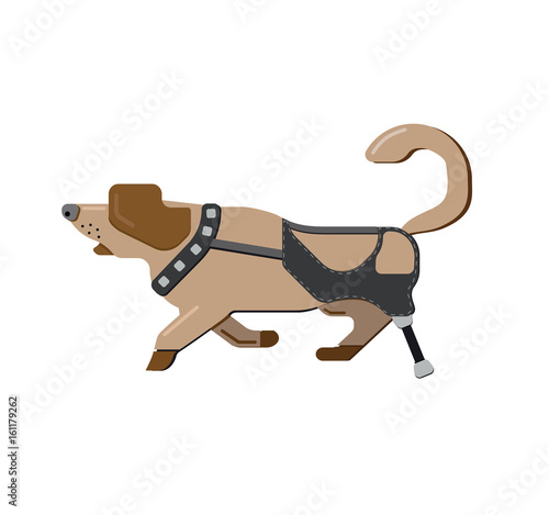 Prostheses. Disabled dog. Disability pets. Prosthetic leg. Running beagle. Dog Isolated on white background. Running side view dog. Sick dog. Veterinary care for homeless animals. Prosthetics clinic.
