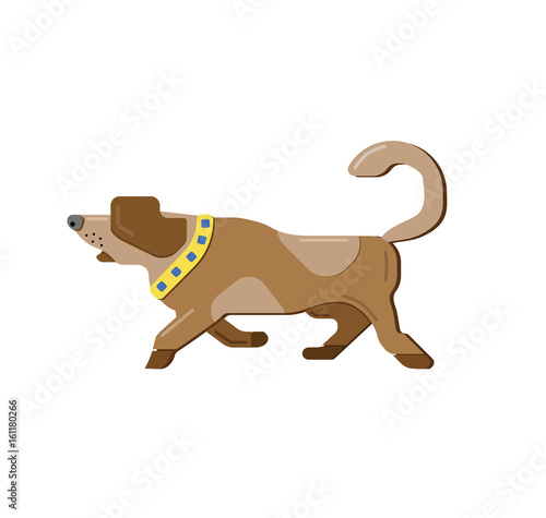 Beagle vector dog. Scent hound. Stylized vector with the golden collar. Running beagle. Stylized paw. Dog Isolated on white background. Icon brown dog.