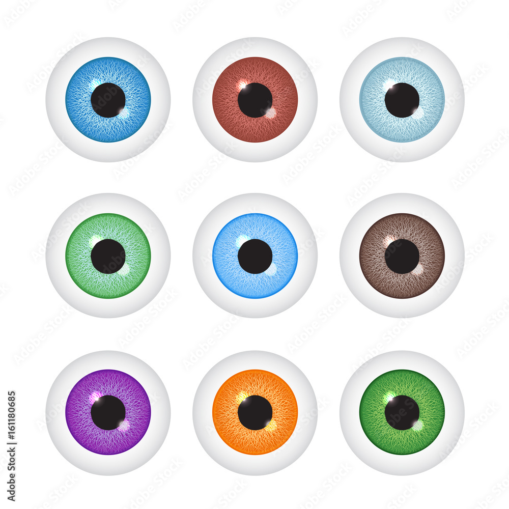Realistic eyeball set. Vector illustration. Realistic eyeball set. Vector illustration.