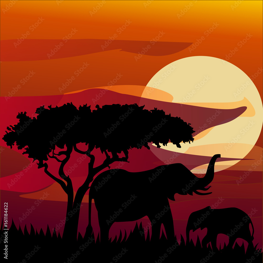silhouette view of elephant at sunset
