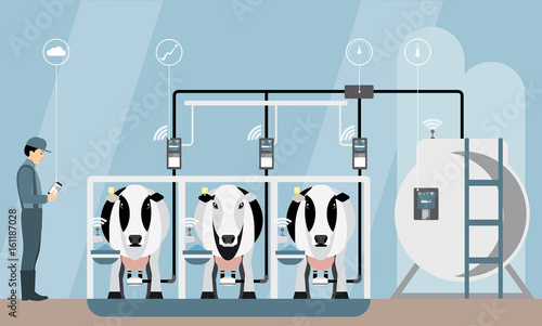 Internet of things on dairy farm. Herd management and automatic milking. Vector illustration