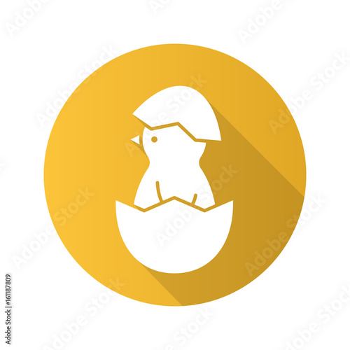 Newborn chicken flat design long shadow icon