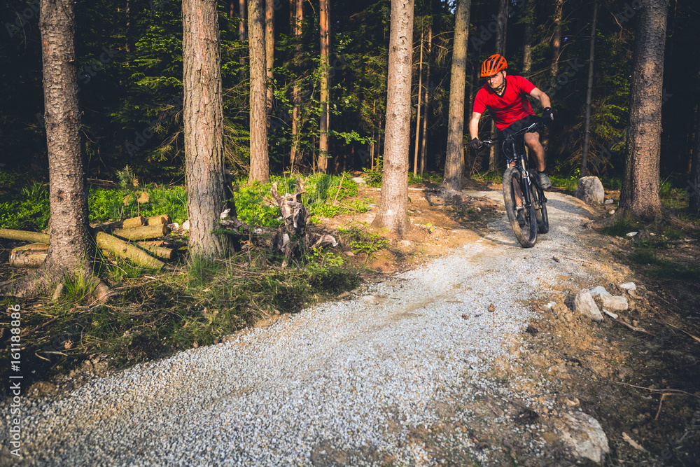 Mountain biker riding cycling in summer forest Mountain biker riding cycling in summer forest