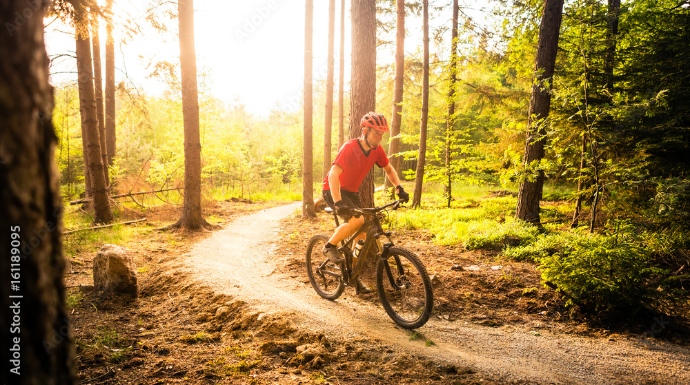 Obraz premium Mountain biker riding cycling in summer forest