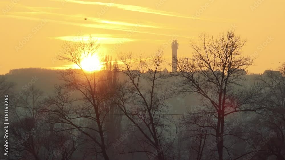 A beautiful golden sunset, contours of trees and buildings in the foreground A beautiful golden sunset, contours of trees and buildings in the foreground